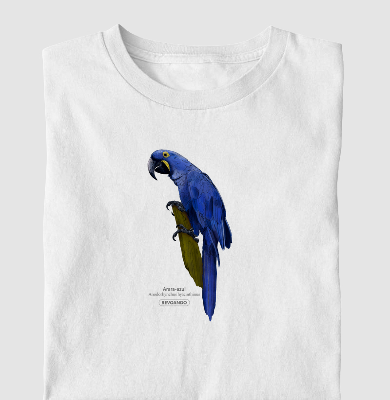 Aves do Brasil - Arara-azul - Infantil