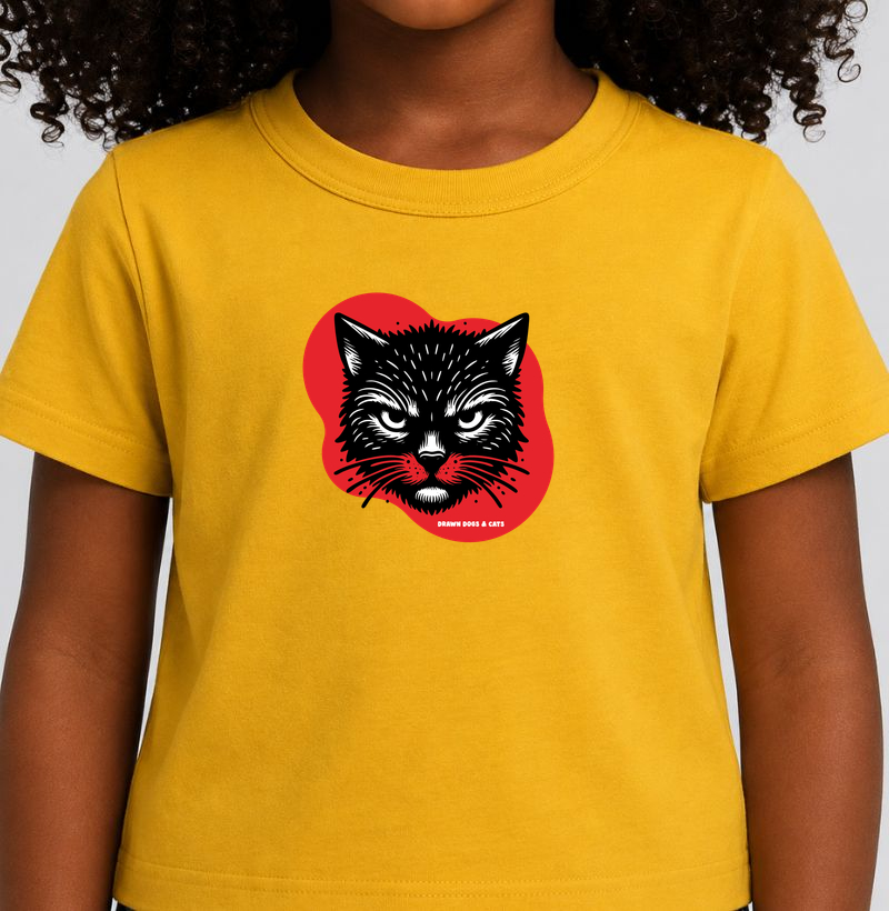 Gato preto e fundo vermelho