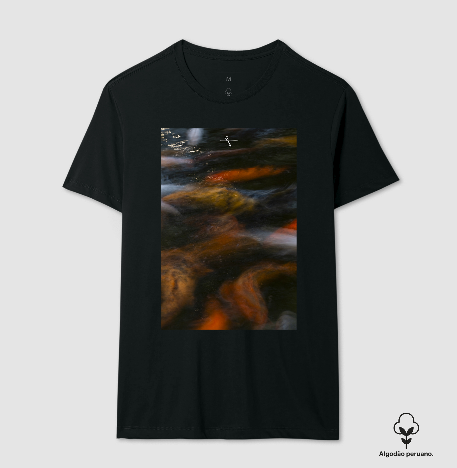 Koi #02
