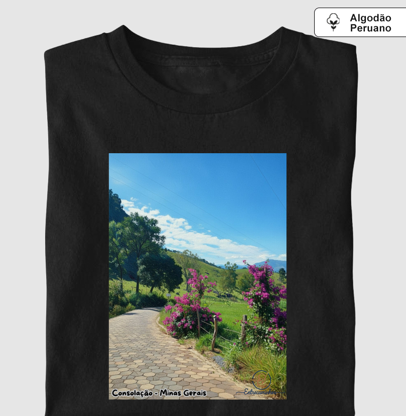 Consolação Minas Gerais (tela)