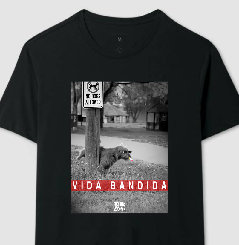 Vida bandida