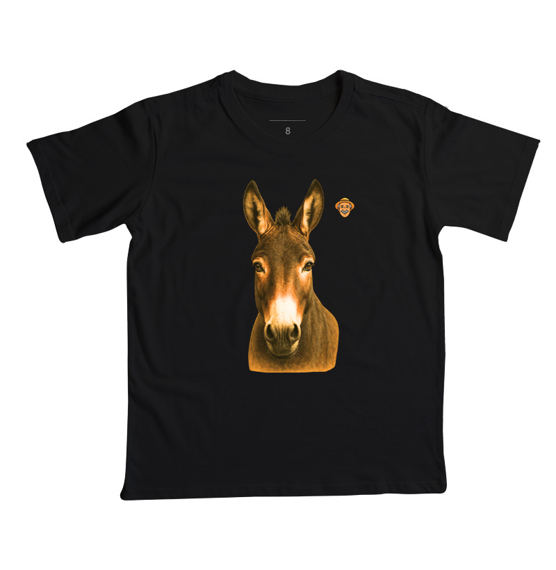 Burro