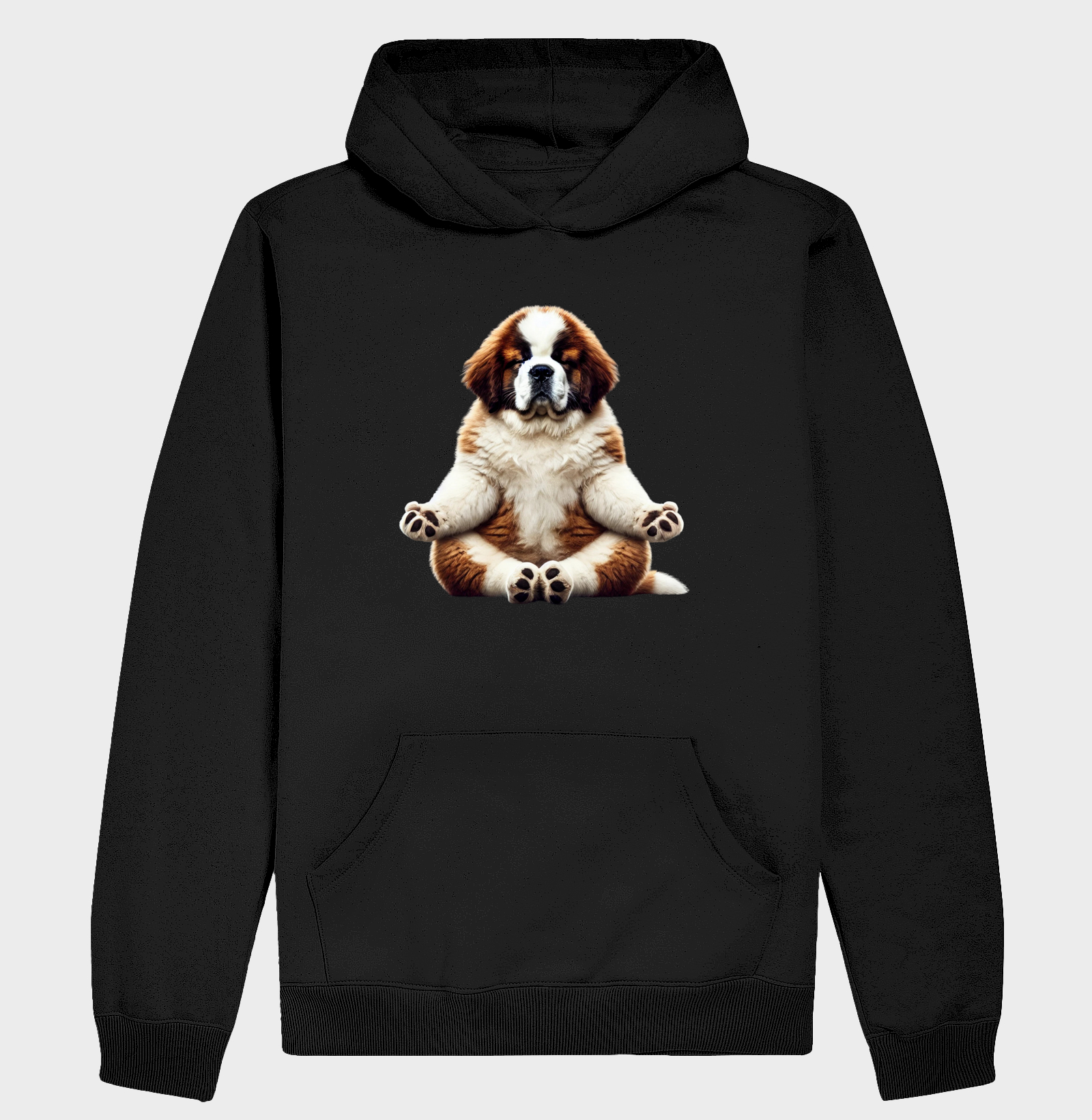 São Bernardo Meditando