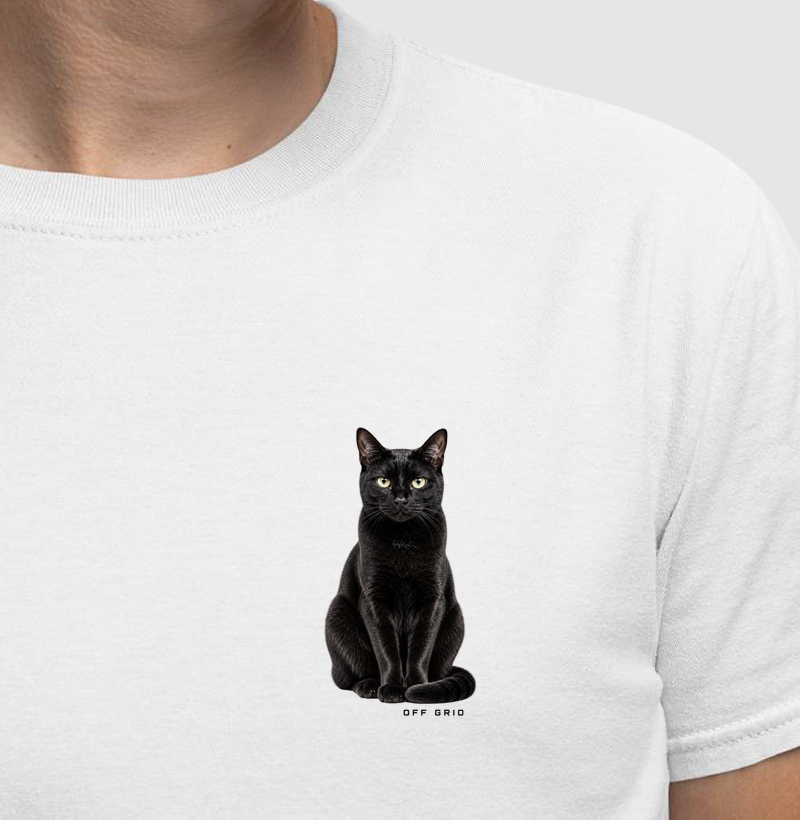 Gato