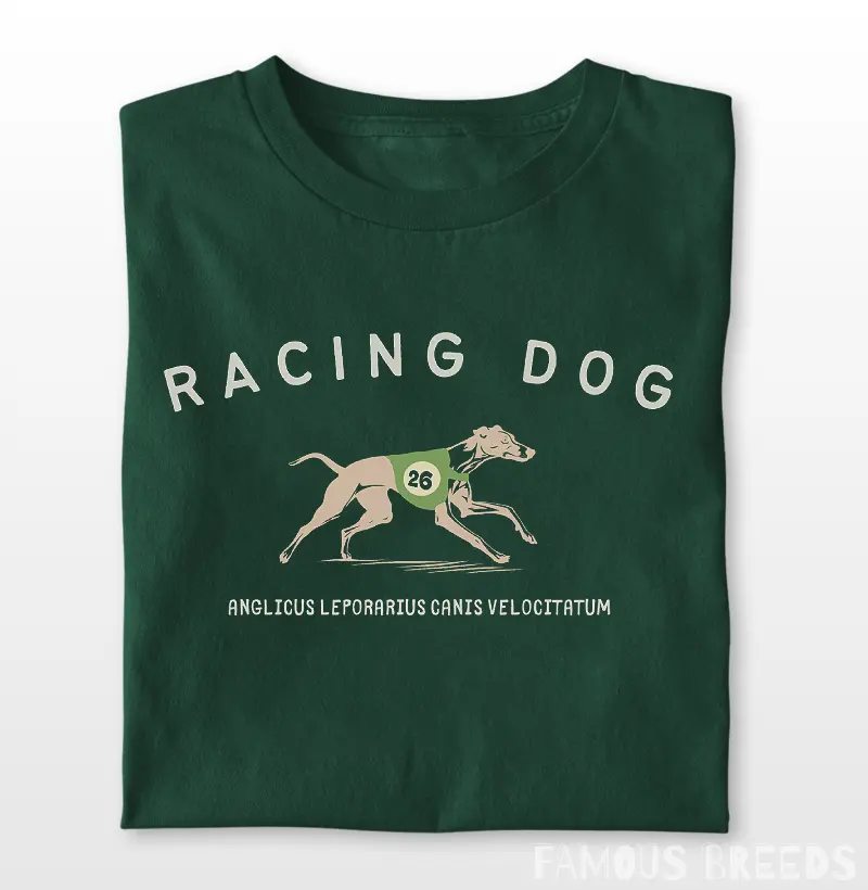 Racing Dog