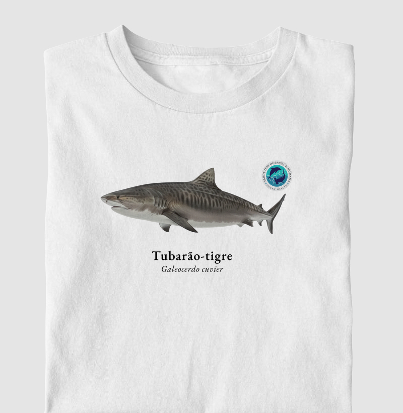 Tubarão-tigre