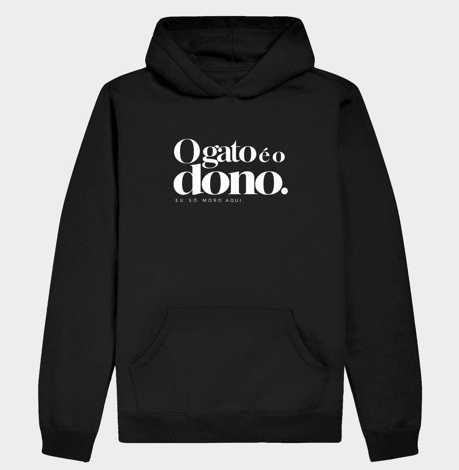 O gato é o dono...