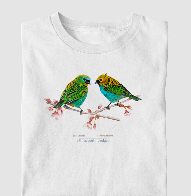 Colab Rev&Mac - Saíras Lagarta e Douradinha - Infantil