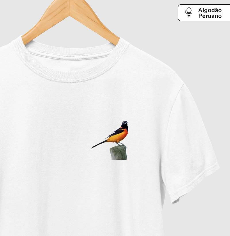 Corrupião do Nordeste