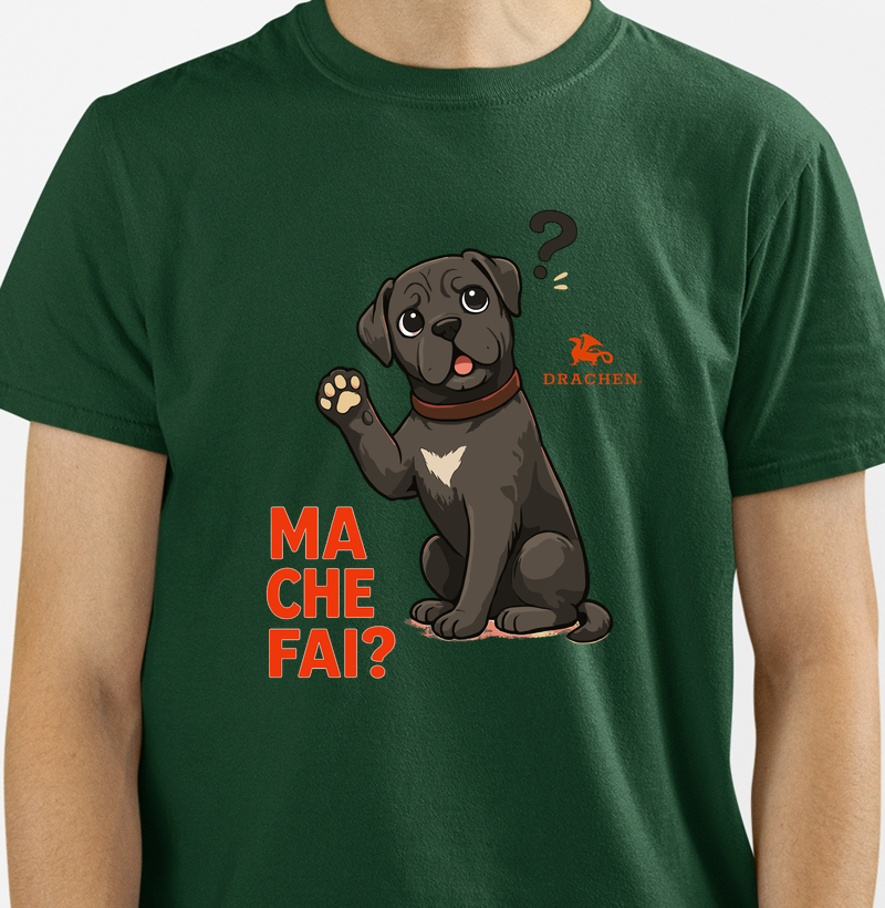 MA CHE FAI? — Il Cane Sorpreso