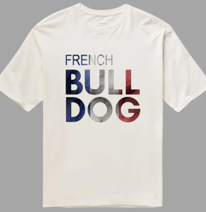 French BULLDOG_Oversized