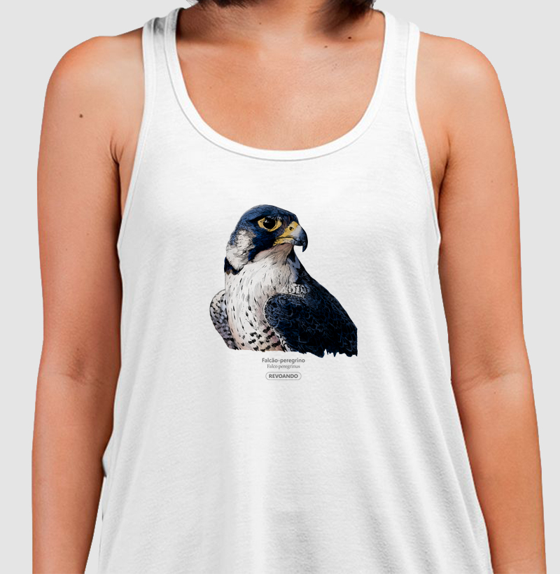 Rapinas Inky - Falcão-peregrino - Regata