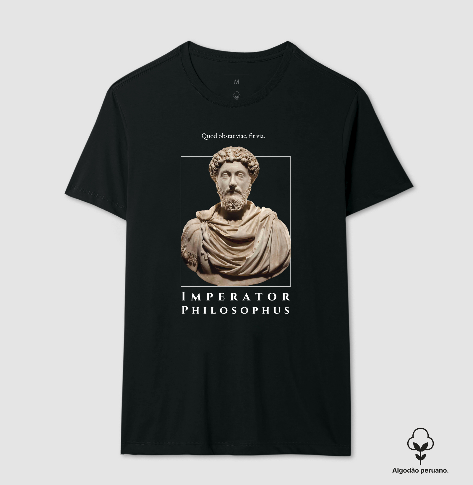 MARCUS AURELIUS - Imperator Philosophus
