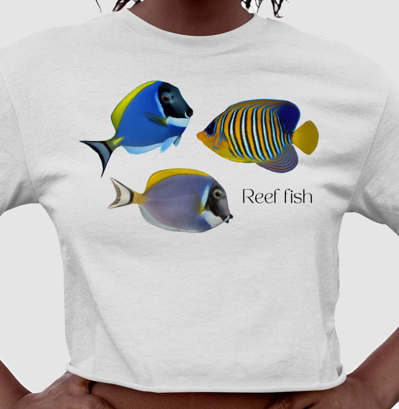 Reef Fish