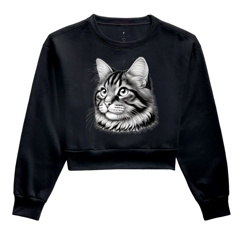 Gato 1