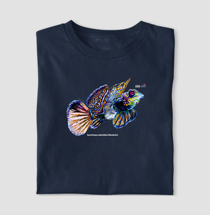 Mandarim - Synchiropus splendidus