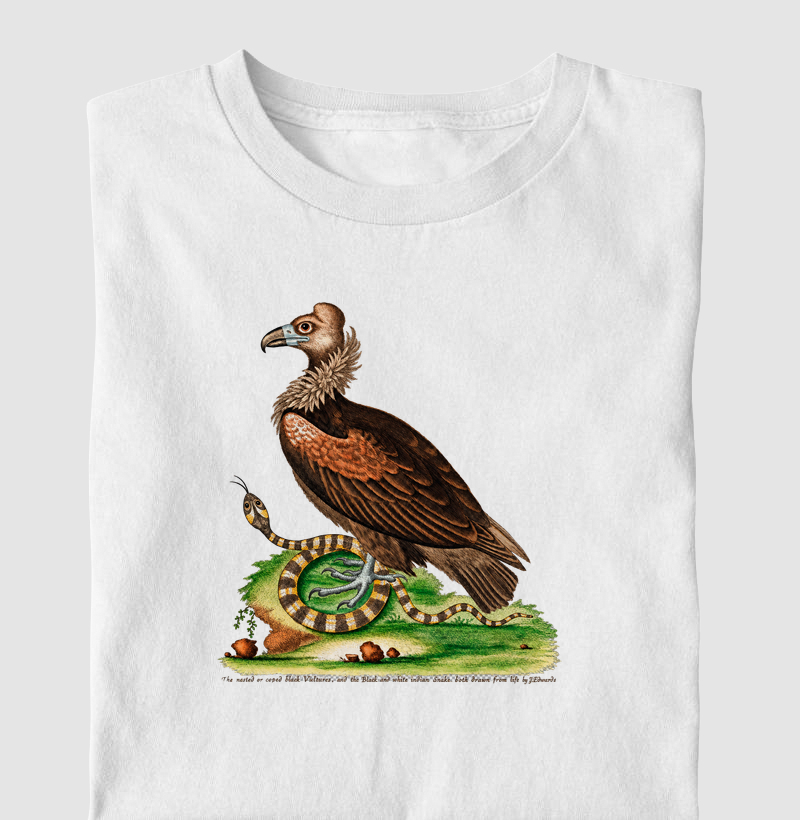 Camiseta Abutre e Serpente — História Natural do Século XVIII