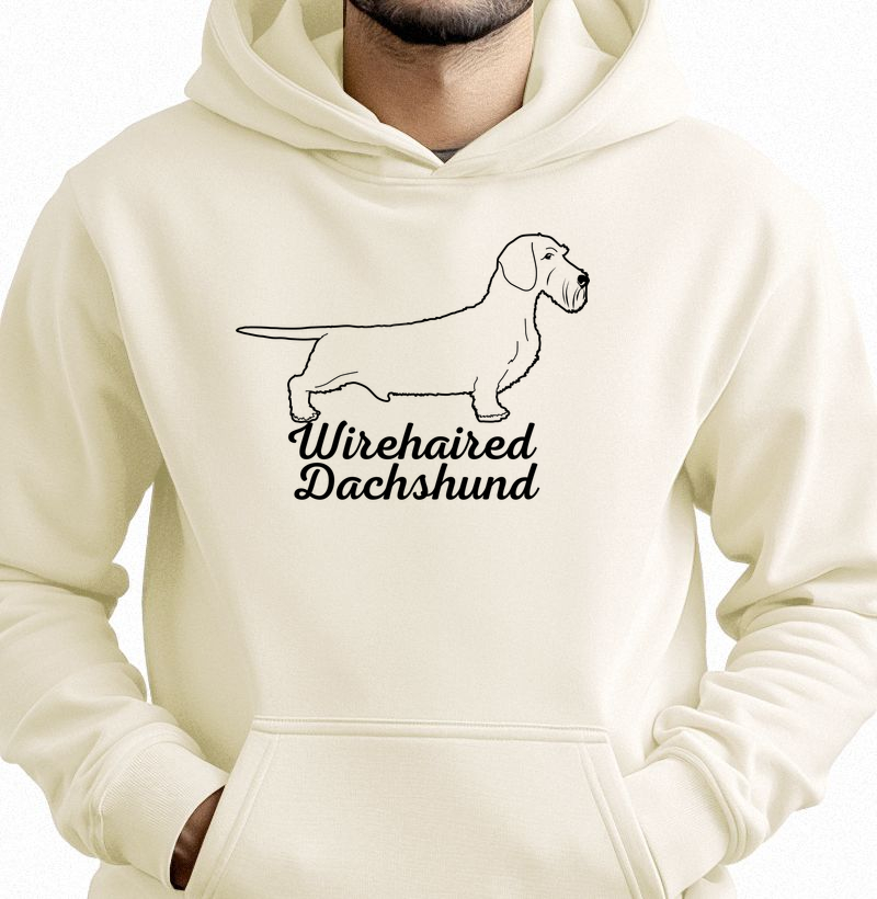 Wirehaired Dachshund 02