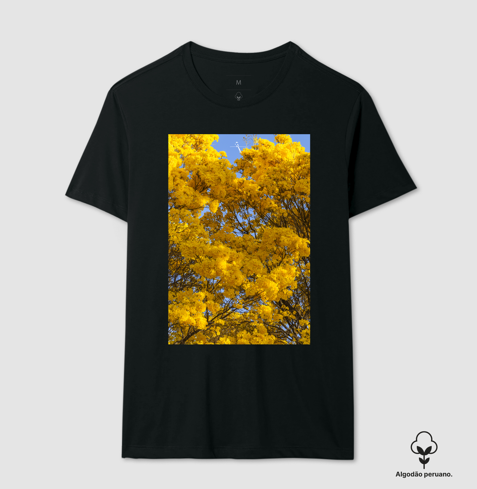 Ipê Amarelo