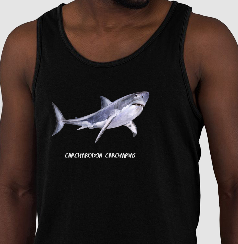 Carcharodon carcharias - Regata