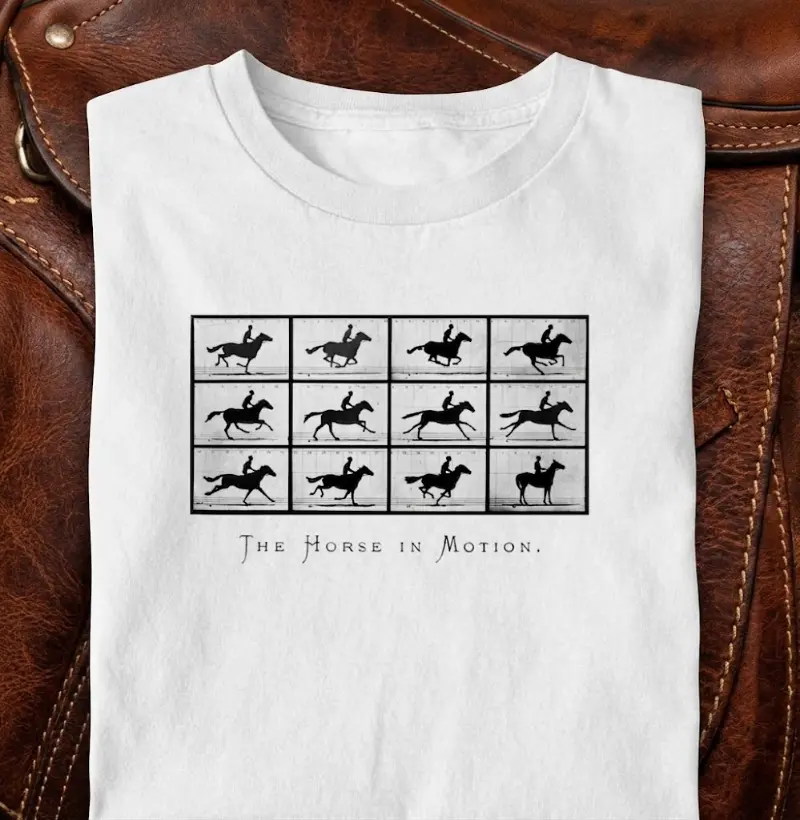 horse in motion