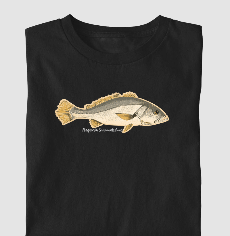 🎣 Corvina 🐟