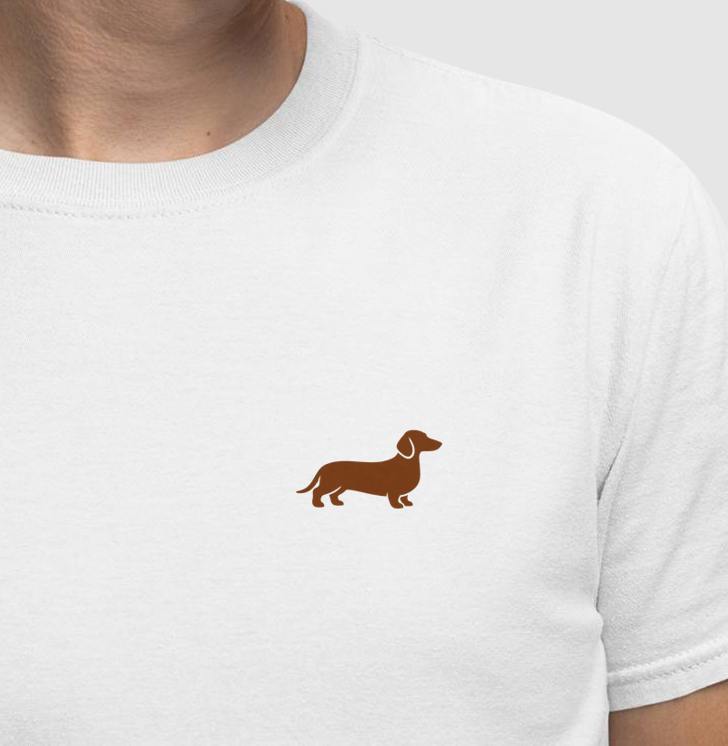 Dachshund ou Salsichinha Premium