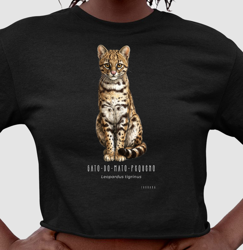 Gato-do-mato-pequeno