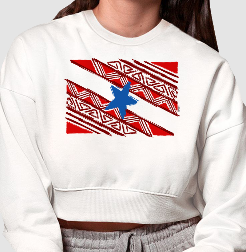 Bandeira do Pará Grafismo