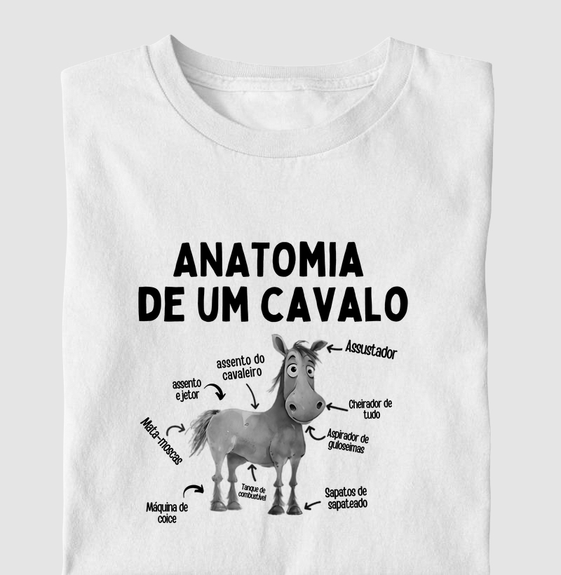 Anatomia do cavalo - Algodão 30.1