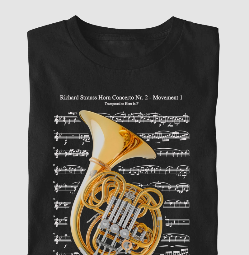 Concerto para Trompa Nº 2 - R. Strauss