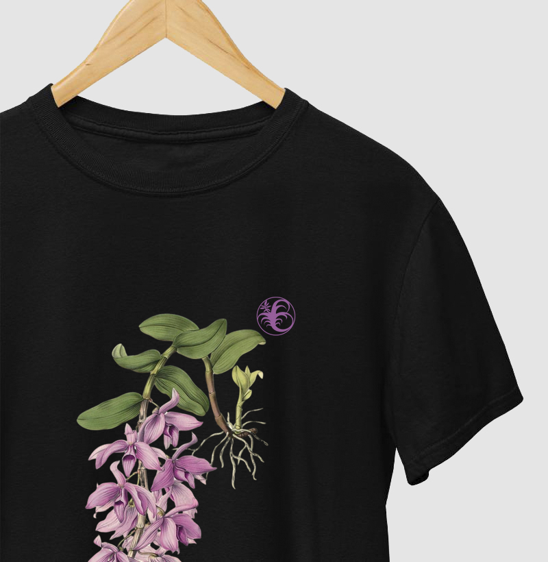 Dendrobium macrophylum