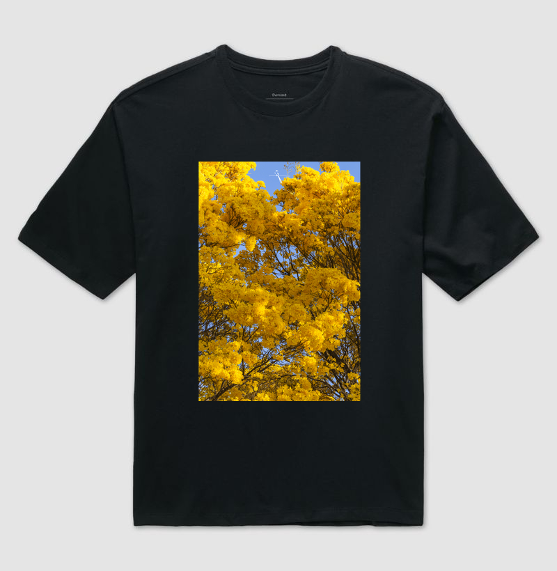 Ipê Amarelo