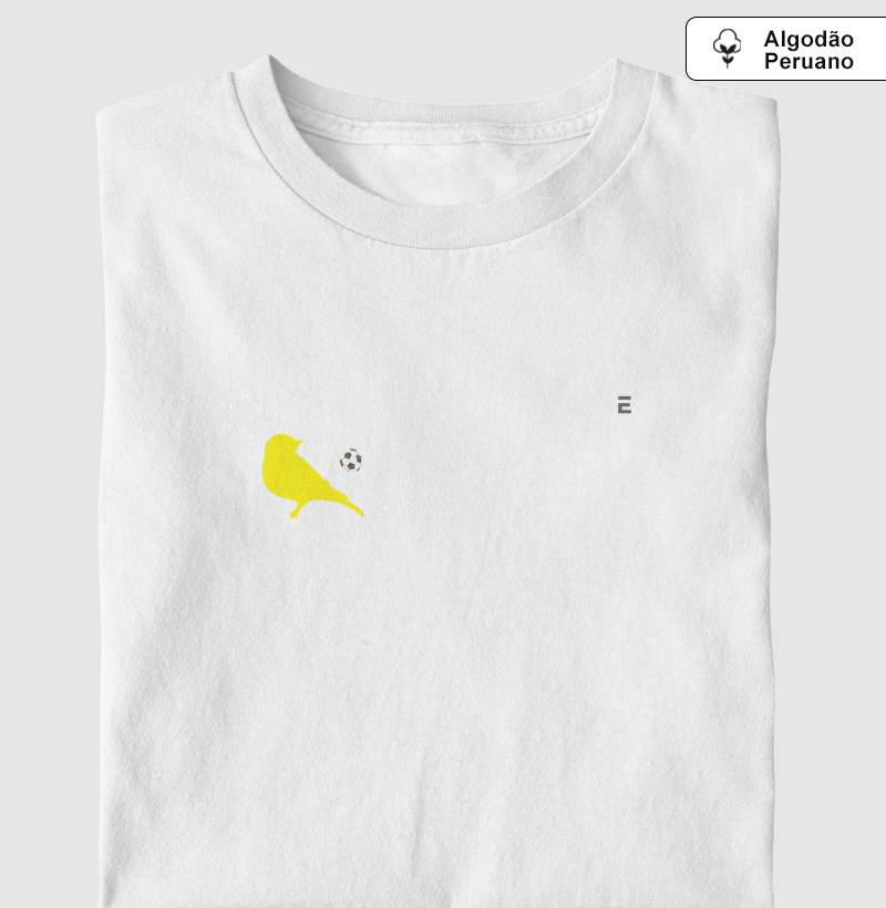 Canário do Brasil pequeno