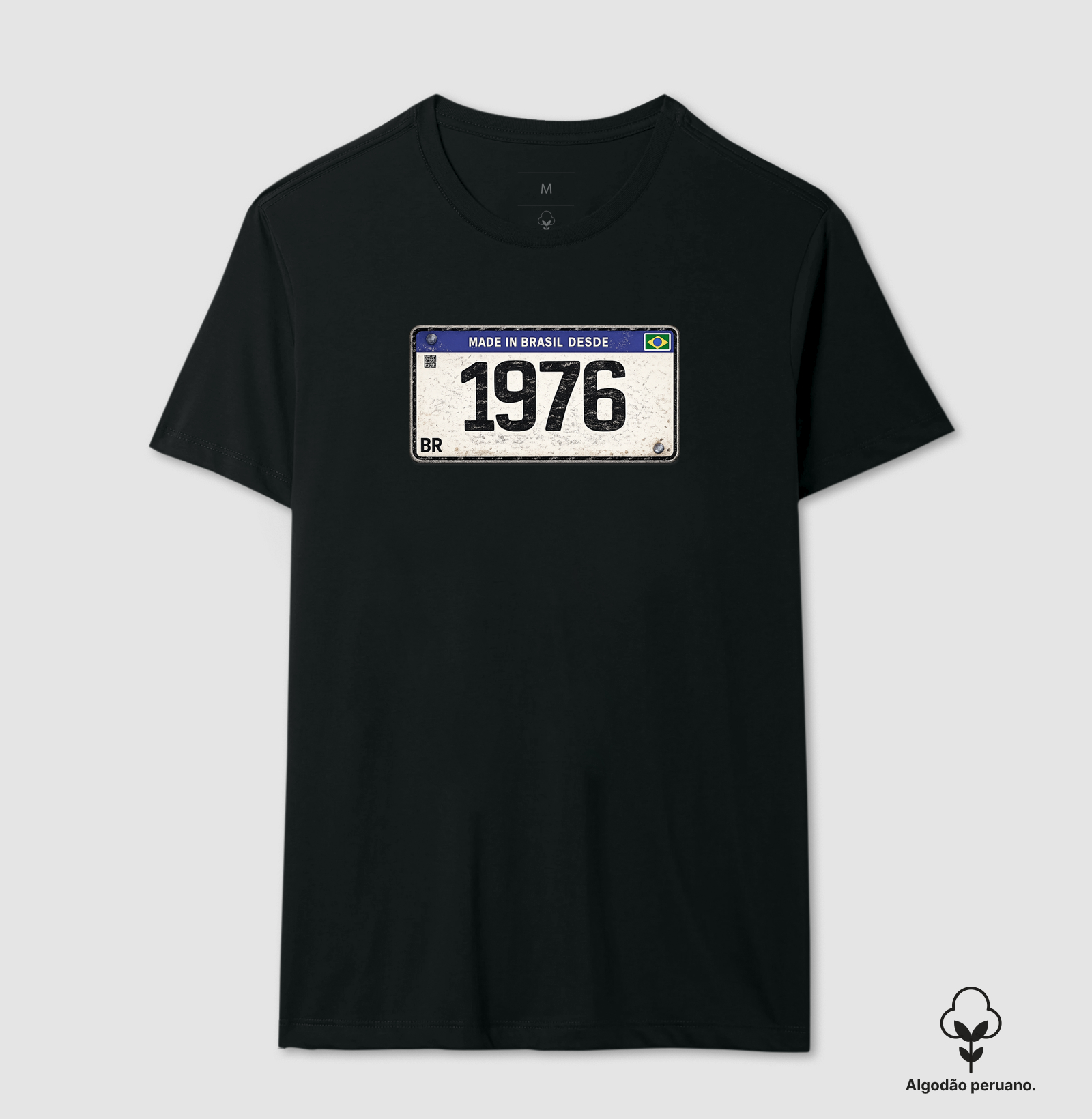 PLACA 1976