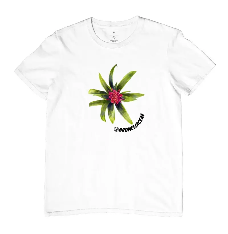 Bromélia bromeliaceae