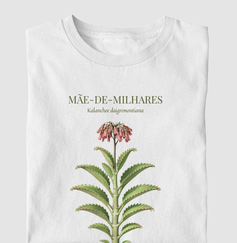 Mãe-de-milhares
