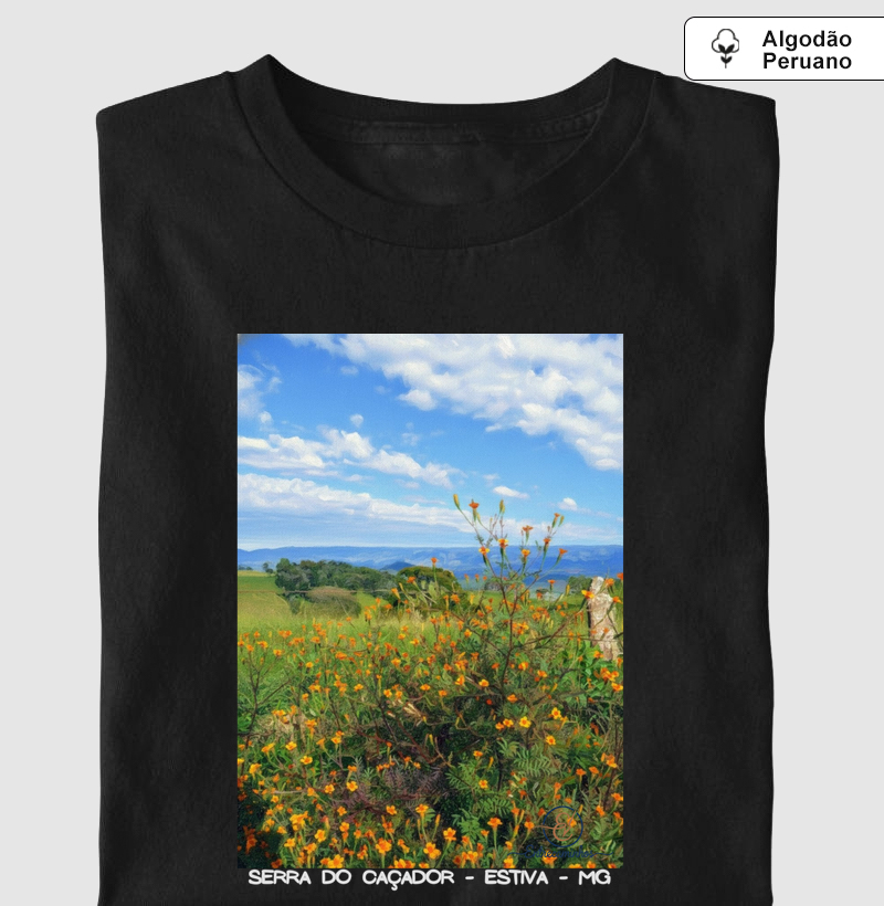 Serra do Caçador Florida (tela)