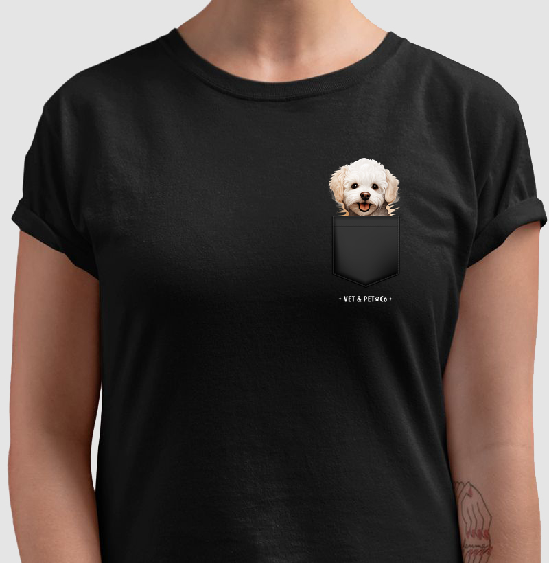 Cachorro de bolso (Bichon Frisé)