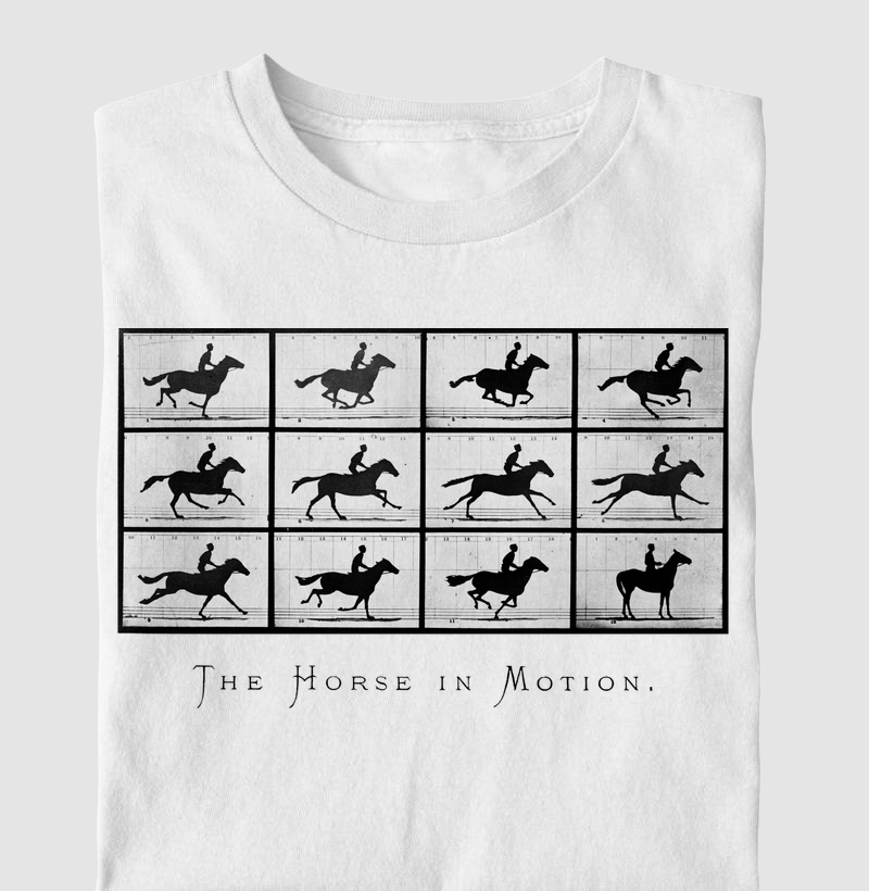 horse in motion