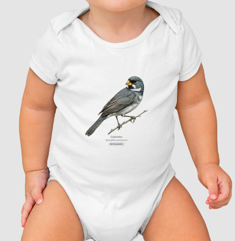 Aves do Brasil - Coleirinho II - Body Infantil