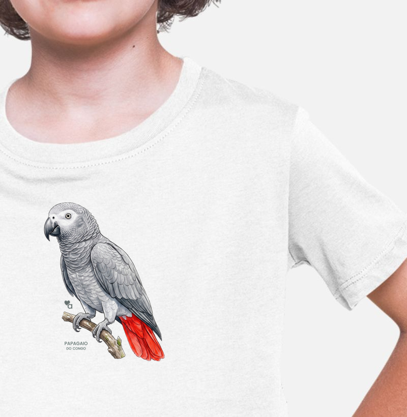 Aves - Papagaio do Congo - Infantil