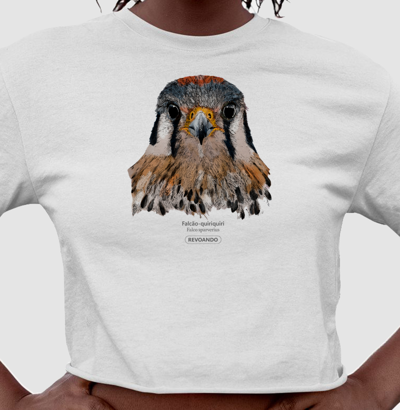 Rapinas Inky - Falcão-quiriquiri - Cropped