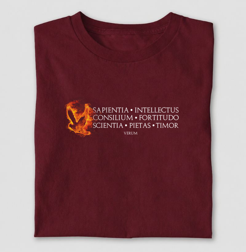 Camiseta Dons do Espírito Santo – Sapientia et Fortitudo | Camiseta Católica Verum