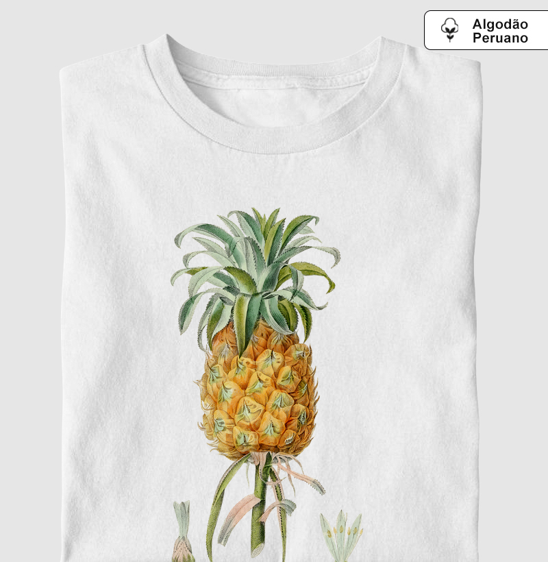 Abacaxi