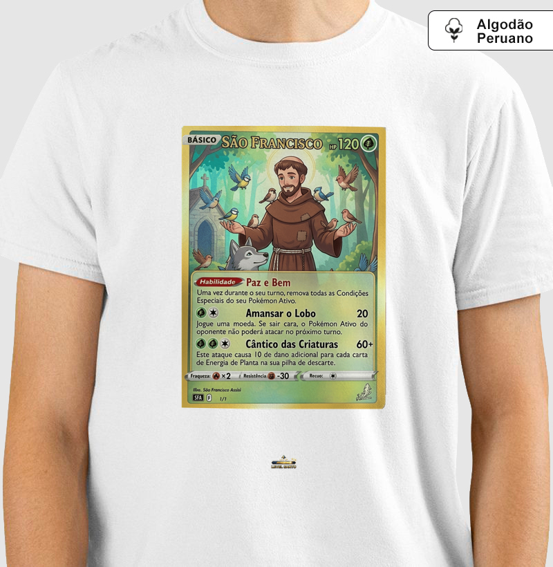 São Francisco de Assis - TCG