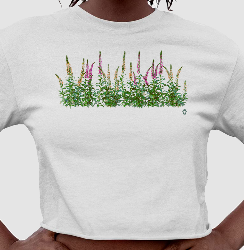 Dedaleira - Cropped