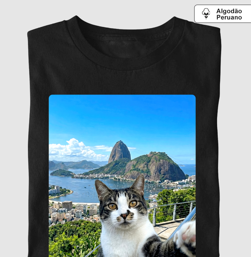 Branquinho Tigrado no Rio de Janeiro