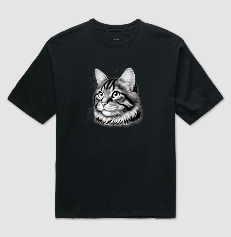 Gato 1