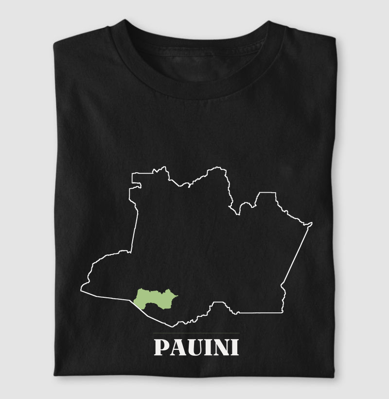 Pauini | Traço AM